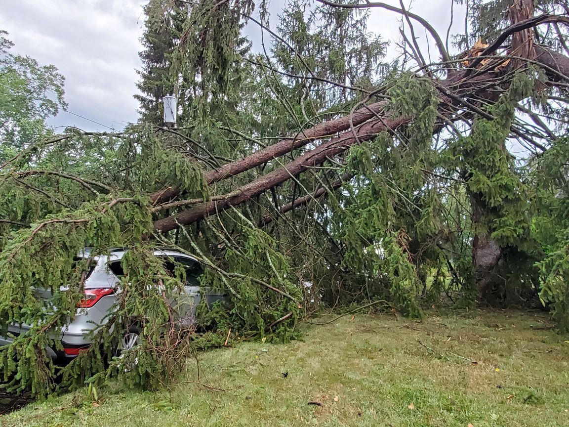 Storm Culpeper